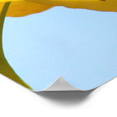 Gele bladeren Ginkgo-boom Poster (Hoek)