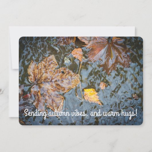 Gele bladeren in de stroom kaart (Voorkant)