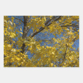 Gele bladeren op de Natuur van de Ash-boom van de  Inpakpapier Vel (Voorkant 3)