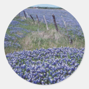 Gele Blauwe motorkap bloemen Ronde Sticker