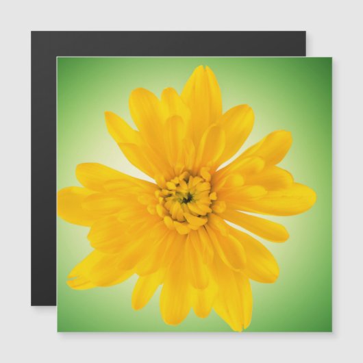 Gele bloem (Voorkant / Achterkant)