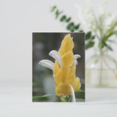 Gele bloem # 2 briefkaart (Staand voorkant)