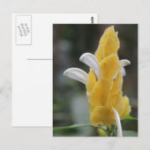 Gele bloem # 2 briefkaart (Voorkant / Achterkant)