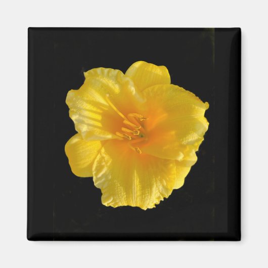 Gele bloem 2 inch vierkante magneet (Voorkant)