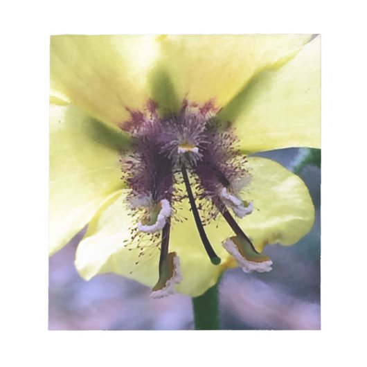 Gele Bloem 3 Notitieblok (Voorkant)