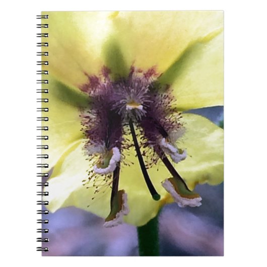 Gele Bloem 3 Notitieboek (Voorkant)