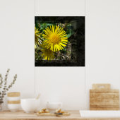 gele bloem achter ramen poster (Keuken)