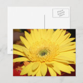 Gele bloem briefkaart (Voorkant / Achterkant)