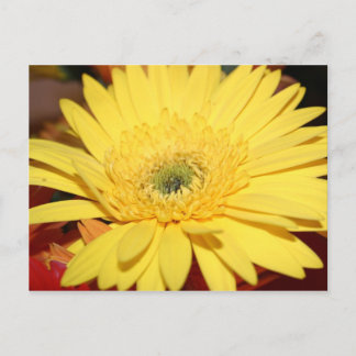 Gele bloem briefkaart