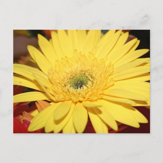 Gele bloem briefkaart (Voorkant)