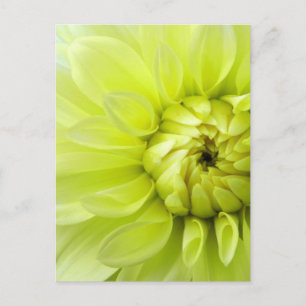 Gele bloem briefkaart