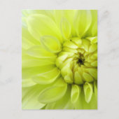 Gele bloem briefkaart (Voorkant)