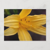 gele bloem briefkaart (Voorkant)