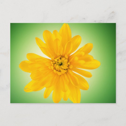 Gele bloem briefkaart (Voorkant)