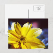 Gele Bloem Briefkaart (Voorkant / Achterkant)