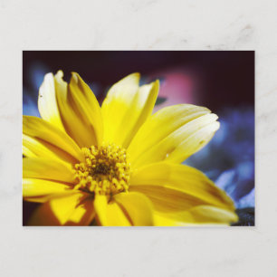 Gele Bloem Briefkaart