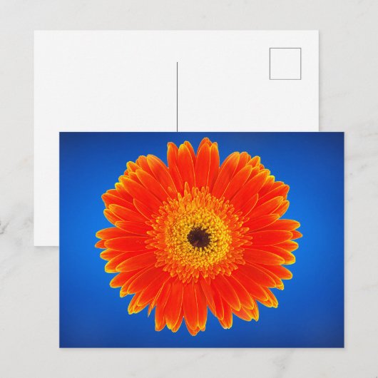 Gele bloem briefkaart (Voorkant / Achterkant)