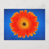 Gele bloem briefkaart (Voorkant)