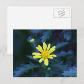 gele bloem briefkaart (Voorkant / Achterkant)