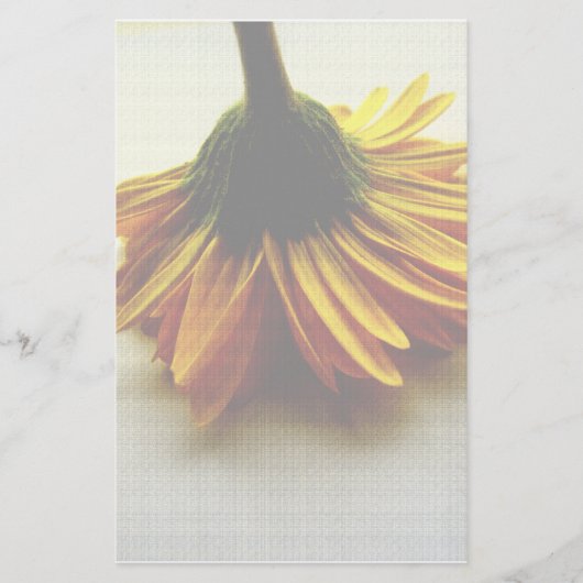 Gele bloem briefpapier (Voorkant)