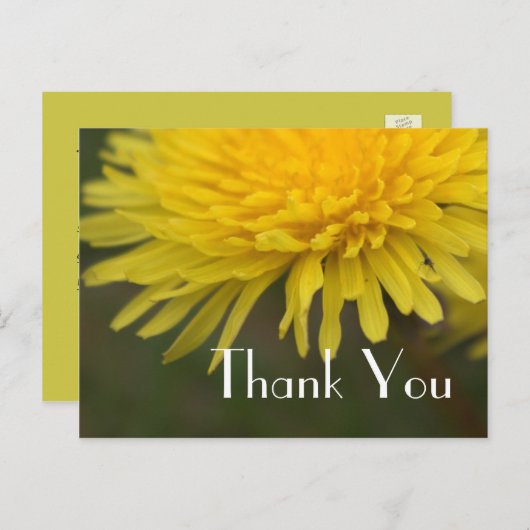  gele bloem dandelion bedankt briefkaart (Voorkant / Achterkant)