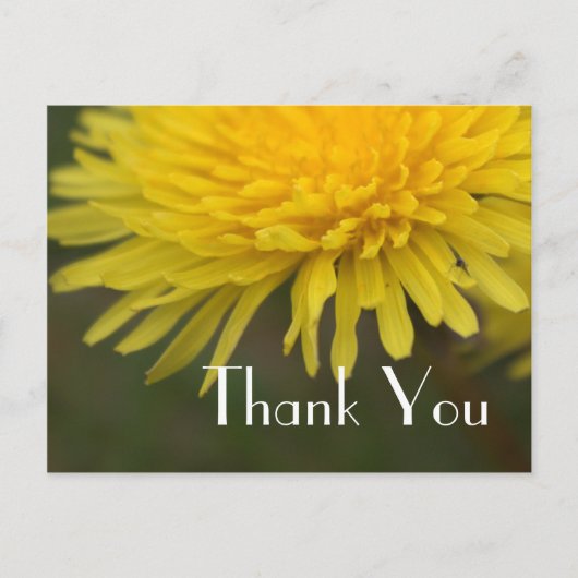  gele bloem dandelion bedankt briefkaart (Voorkant)