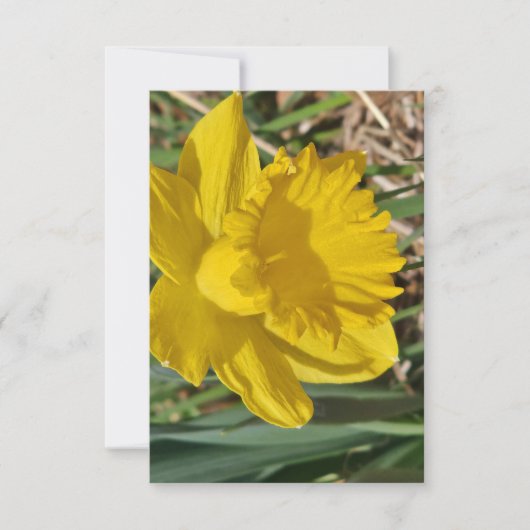 Gele bloem dank je kaart (Voorkant)