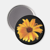 Gele Bloem & Dauw Magneet (Voorkant / Achterkant)