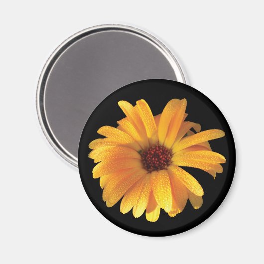 Gele Bloem & Dauw Magneet (Voorkant / Achterkant)