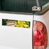 Gele bloem en Chipmunk (4) Bumpersticker (Op Truck)