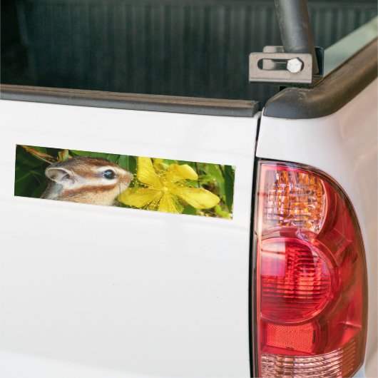 Gele bloem en Chipmunk (4) Bumpersticker (Op Truck)