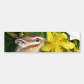 Gele bloem en Chipmunk (4) Bumpersticker (Voorkant)