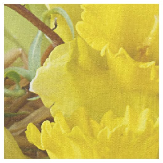 gele bloem en easter-eieren stof (Close Up)