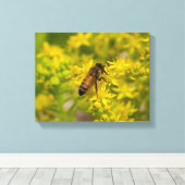 Gele bloem en honingbijen Maleny 2016 Canvas Afdruk (Insitu (Houten vloer))