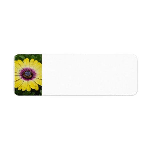 Gele bloem etiket (Voorkant)