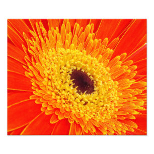 Gele bloem foto afdruk