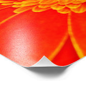 Gele bloem foto afdruk (Hoek)