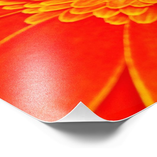 Gele bloem foto afdruk (Hoek)