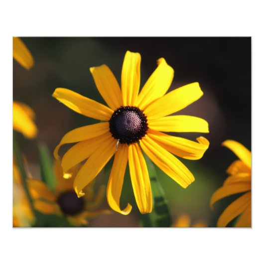 gele bloem foto afdruk (Voorkant)