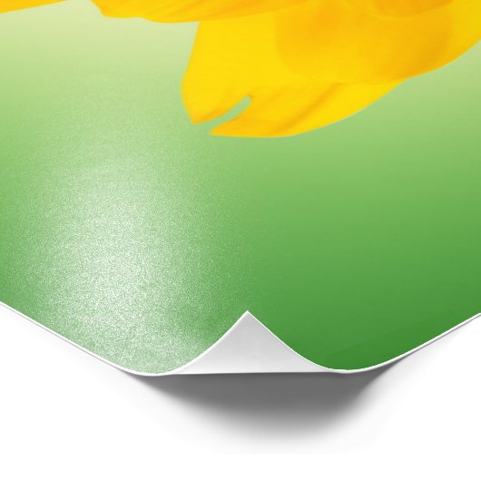 Gele bloem foto afdruk (Hoek)