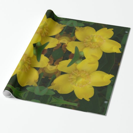 Gele Bloem Foto Inpakpapier (Uitgerold)