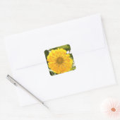 Gele bloem gele bloemengele madeliefje vierkante sticker (Envelop)