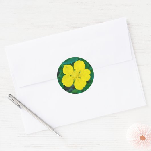 Gele bloem – Groene achtergrond Macro Foto Ronde Sticker (Envelop)