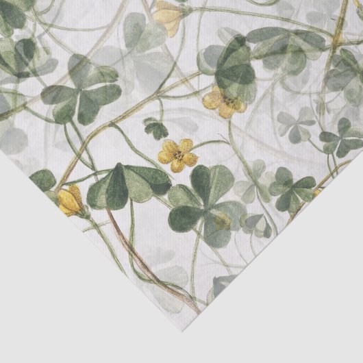 Gele bloem groene klaver ontkoppeling tissuepapier (Detail)