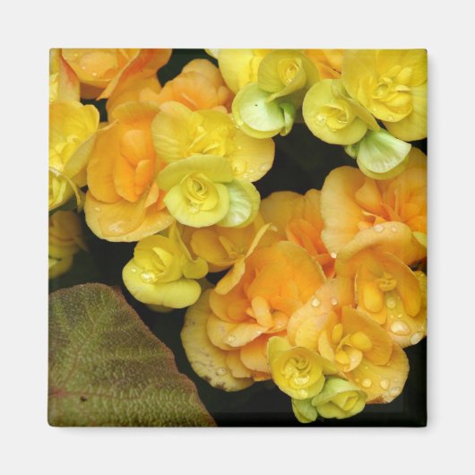 gele bloem magneet (Voorkant)