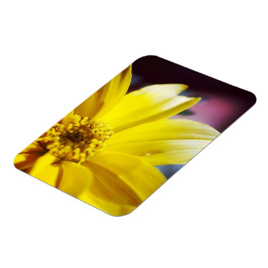 Gele Bloem Magneet (Linkerzijde)