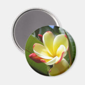 gele bloem magneet (Voorkant / Achterkant)