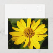 Gele bloem met groene loof briefkaart (Voorkant / Achterkant)