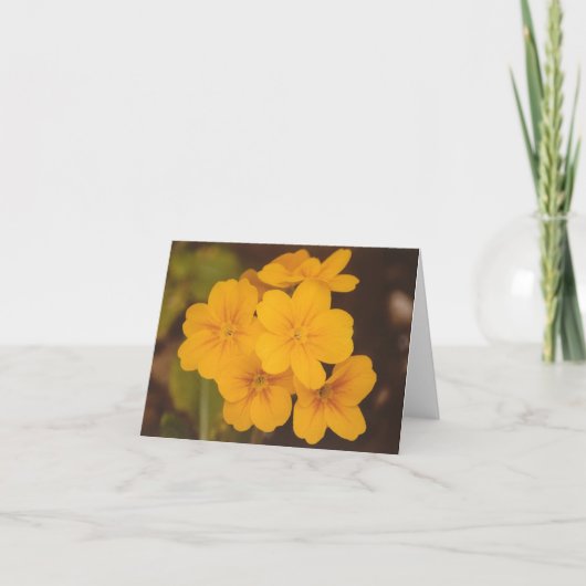 Gele Bloem Notecard Kaart (Voorkant)