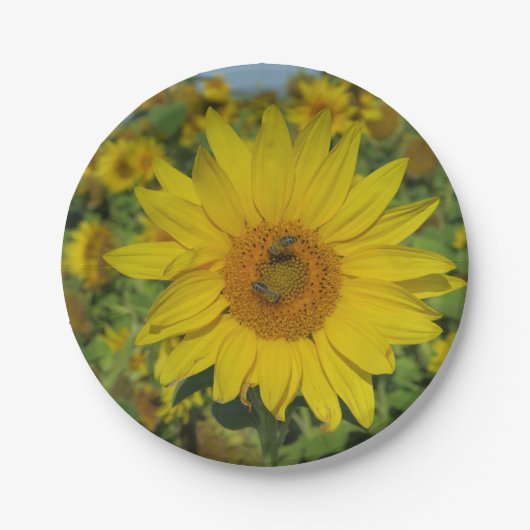 gele bloem papieren bordje (Voorkant)